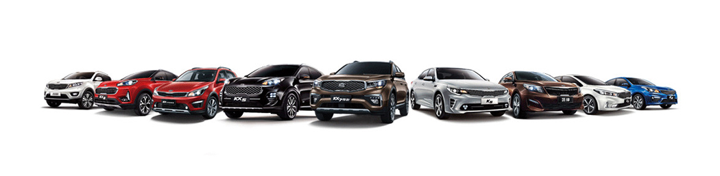 東風(fēng)悅達起亞家族集體亮相